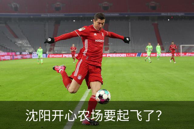 沈阳开心农场要起飞了？