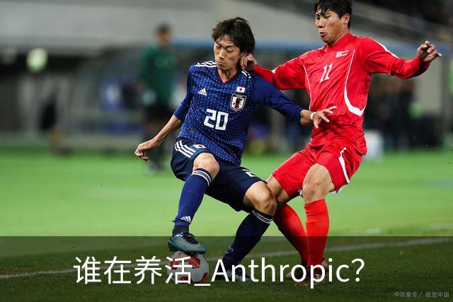 谁在养活 Anthropic？